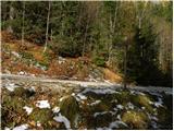 Planica (Planinšek) - Planina Podvežak